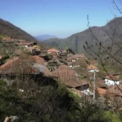 Montovo