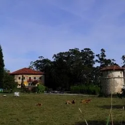 Prado 3