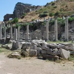 Ephesus CX