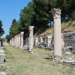 Ephesus CXVI