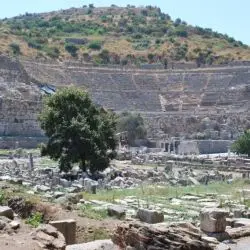 Ephesus CLX