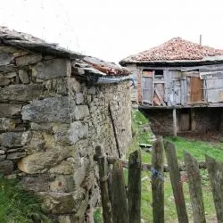 La Rondiella 3