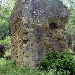 Ruinas Monasterio San Roman de Entrepeñas