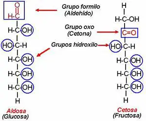 Estructura química de un glúcido