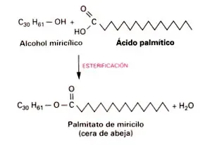 Formación de una cera