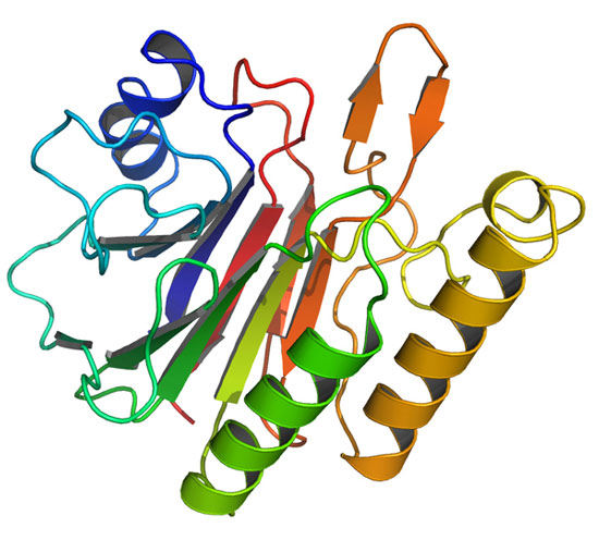 Estructura terciaria de una proteína II
