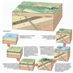 Principios fundamentales de la Geología