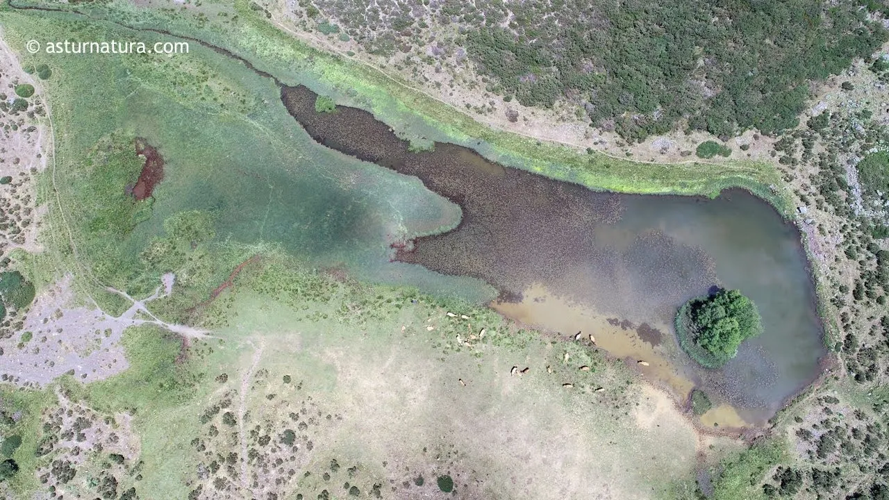 Ruta del Lago Chao (León)