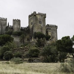 Castillo de Almodvar del Ro (2 de 3)