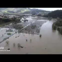Inundaciones en Pravia 2019