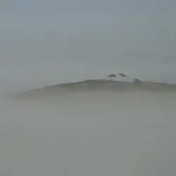 Entre la niebla