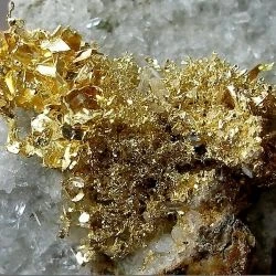 Oro (2 de 2) 0
