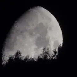 Luna nocturna (2 de 3)